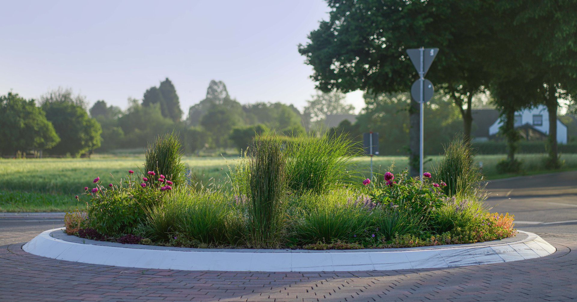 Urban Meadow Transformation