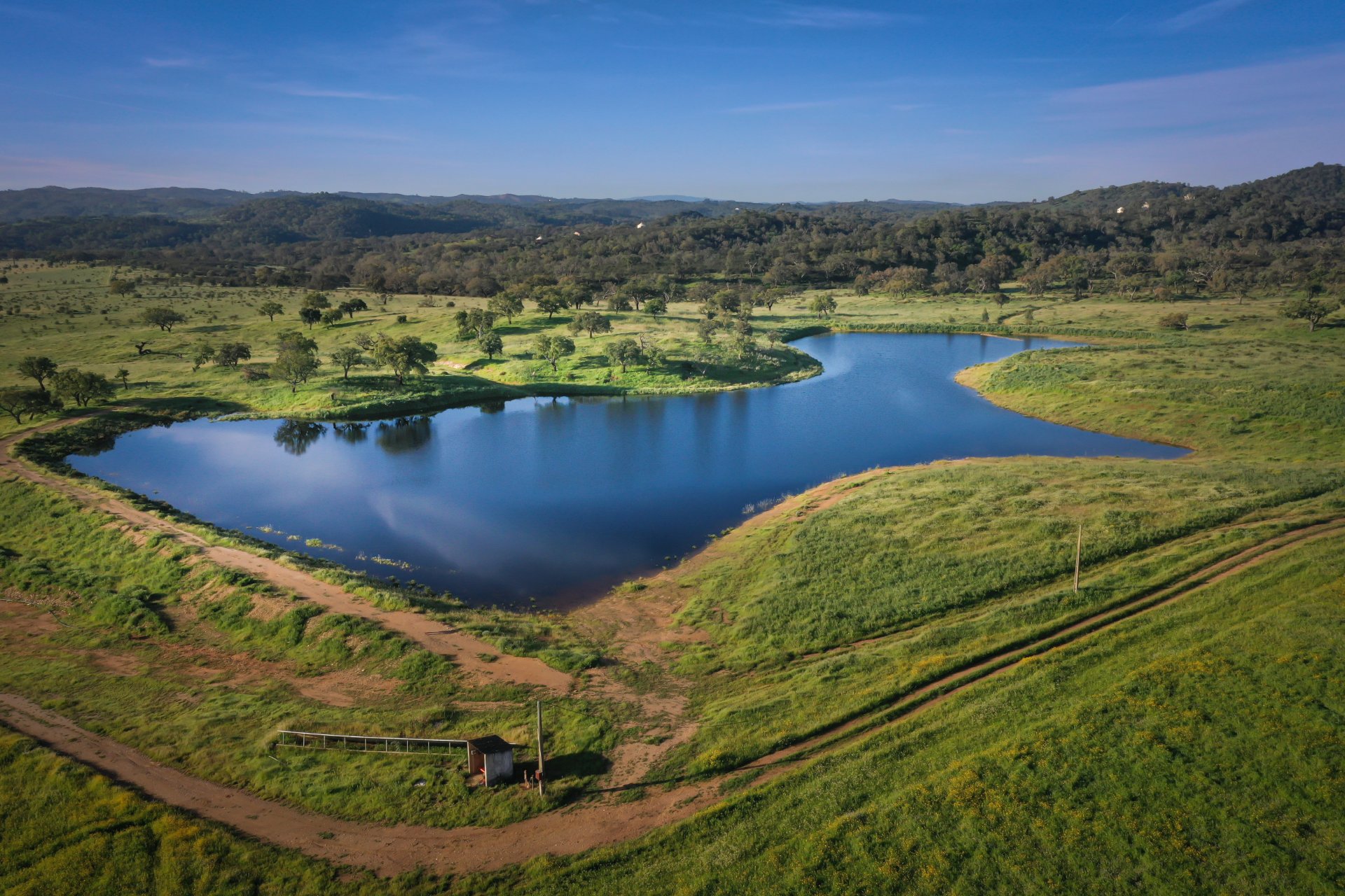 Green Vacation Portugal – Eine Vision für Klima und Gemeinschaft
